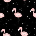 Cute hand drawn seamless pattern with pink flamingo. Vector print Royalty Free Stock Photo