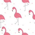 Cute hand drawn seamless pattern with pink flamingo. Vector print Royalty Free Stock Photo