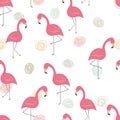 Cute hand drawn seamless pattern with pink flamingo. Vector print Royalty Free Stock Photo