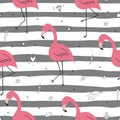 Cute hand drawn seamless pattern with pink flamingo. Vector print Royalty Free Stock Photo