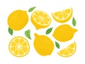 Cute Hand drawn Vector Lemon set. Cartoon summer fruit slice, half sliced lemons, fresh green leaves, yellow whole lemon Royalty Free Stock Photo