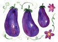 Cute hand drawn watercolor bright purple eggplant Royalty Free Stock Photo