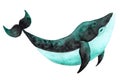 Cute hand drawn watercolor dark green and black colored whale.Hand painted illustration with whale isolated