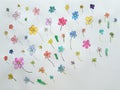 Cute hand drawn watercolor flowers on white paper