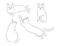 Cute hand drawn white cat in different positions. Set of cat positions. Cat posing. Cats. Sketch