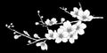 Cute hand drawn white silhouette sakura branch set 1.