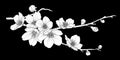 Cute hand drawn white silhouette sakura branch set 2.