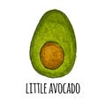 Cute hand drown little avocado. Vector Illustration