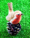 Little china red breasted robin. Royalty Free Stock Photo