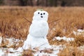 Cute handmade snowman standing outside on a foggy winter day Royalty Free Stock Photo