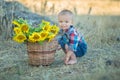 Cute handsome boy wearing jeans close to basket with sunflowers and stones. Royalty Free Stock Photo