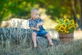 Cute handsome boy wearing jeans close to basket with sunflowers and stones. Royalty Free Stock Photo