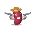 Cute handsome cowboy of human spleen cartoon character with guns