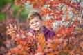 Cute handsome stylish boy enjoying colourful autumn park with his best friend red and white english bull dog.Delightfull