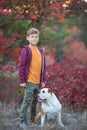 Cute handsome stylish boy enjoying colourful autumn park with his best friend red and white english bull dog.Delightfull