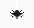 Cute hanging spider. Halloween