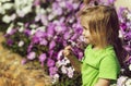 Cute happy baby boy playing at flowerbed with blossoming flowers