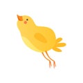 Cute happy baby chicken, funny cartoon bird character vector Illustration on a white background Royalty Free Stock Photo