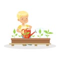 Cute happy boy watering plants from a watering can, lesson of botany in kindergarten cartoon vector Illustration