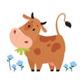 Cute happy brown cow grazing in meadow and eating grass. Lovely farm animal character cartoon vector illustration Royalty Free Stock Photo