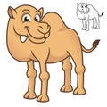 Cute Happy Camel Standing with Black and White Line Art Drawing Royalty Free Stock Photo