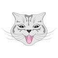 Cute happy cat cartoon. Cat smile. Characters, Funny cat's face, gray muzzle. Animals, design for