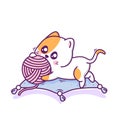 Cute happy cat playing yarn ball