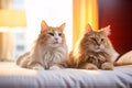 Cute happy cats at pet friendly hotel, holidays trip with pet concept. Generative AI