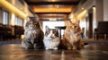 Cute happy cats at pet friendly hotel, holidays trip with pet concept. Generative AI