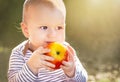 Cute, happy child (baby boy) with red organic apple in the sunny day. Kid eating healthy food, snack. Royalty Free Stock Photo