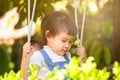 Cute happy child girl enjoy playing bamboo swing in the backyard Royalty Free Stock Photo