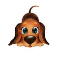 Cute, happy Dachshund Dog with big eyes