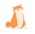 Cute happy dog of Shiba Inu breed sitting with closed eyes and smiling. Adorable Japanese puppy relaxing. Flat vector