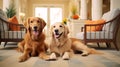 Cute happy dogs at pet friendly hotel, holidays trip with pet concept. Generative AI