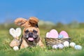 Cute happy Easter French Bulldog dog with rabbit costume ears next to easter eggs Royalty Free Stock Photo