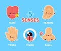 Cute happy five human senses