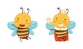 Cute happy funny bee set. Queen bee in golden crown with scepter cartoon vector illustration Royalty Free Stock Photo