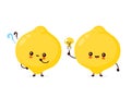 Cute happy funny lemon fruit