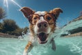 cute happy funny pretty beautiful dogs puppy doggy pet best friend swimming in pool or sea, wear sunglasses, water laps Royalty Free Stock Photo