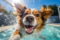 cute happy funny pretty beautiful dogs puppy doggy pet best friend swimming in pool or sea, wear sunglasses, water laps Royalty Free Stock Photo