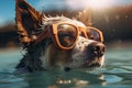 cute happy funny pretty beautiful dogs puppy doggy pet best friend swimming in pool or sea, wear sunglasses, water laps Royalty Free Stock Photo