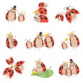 Cute Happy Ladybug Family Set, Cheerful Mother, Father and Their Babies, Adorable Cartoon Insects Characters Vector