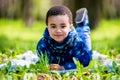 Cute happy little boy lying in green grass on spring Royalty Free Stock Photo