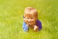 Cute happy little boy lying in green grass on spring Royalty Free Stock Photo