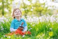 Cute happy little boy wearing Easter bunny ears and eating chocolate at spring green grass Royalty Free Stock Photo