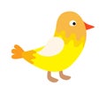 Cute happy little yellow bird easter chick with wings outstretched vector. Royalty Free Stock Photo