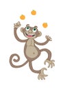 A cute happy monkey juggling three oranges