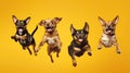 Cute happy pets dogs jumping, flying on yellow studio background, ai generated