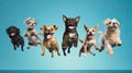 Cute happy pets dogs jumping, flying on yellow studio background, ai generated