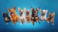 Cute happy pets dogs jumping, flying on yellow studio background, ai generated